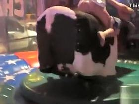Sweet thing reveals her round butt while riding on a bull