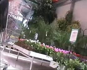 No panty upskirt in the gardencenter