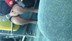 Mature Upskirt in the Bus