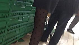 Sexy legs stocking