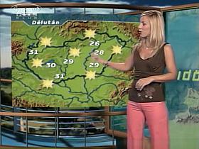 Weather Reporting Lady 3