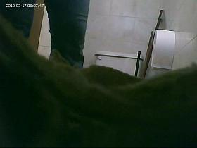 Candid toilet cam captures a hot mature woman peeing