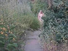 +(a)aLaurie Video outside nude
