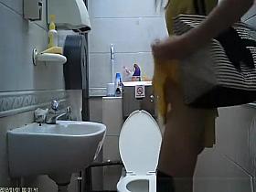 Woman spied in toilet