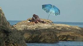 Sex on the Beach. Voyeur Video 267
