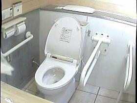 Toilet camera video with real amateurs on the bowl