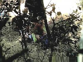 Couple caught fucking in the woods