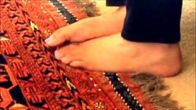 arab pied