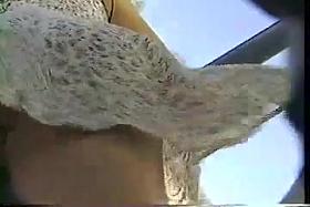 Windy Upskirt Teen with Black G-String Full View!