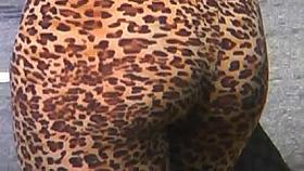 Leopard Arse