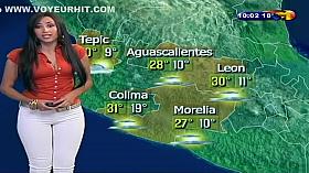 Mexican TV presenter and her sexy crotch
